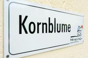 Nengshof Ferienwohnung Kornblume