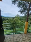Top Shillong