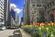 Top Chicago