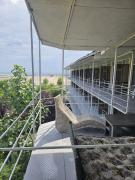 Top Mamaia