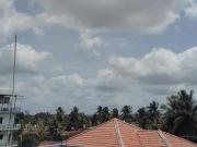 Green Nest Homestay Kushalnagar