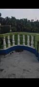 Top Digha