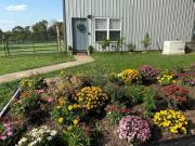 Top Siloam Springs