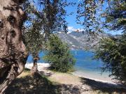 Panoramic Lake View & Garden Apartment