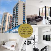 2 room Apartment with AC, Vienna Gate 4