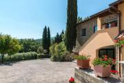 Top Arezzo
