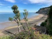Top Shanklin