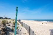Top Dewey Beach Top Dewey Beach