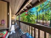 Top Indian Pine Top Indian Pine