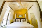 Top Alibaug