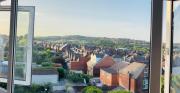 Top Hillsborough