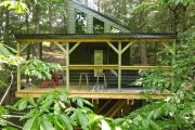 Top Campton