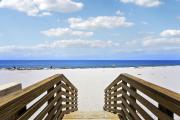 Top Palm Beach