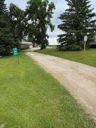 Top Neepawa