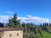 Top Gaino Top Gaino