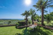 Top Lazise