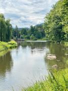 Top Janowice Wielkie