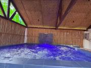 Panglao Home with exclusive Swimming Pool