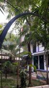 Top Mombasa