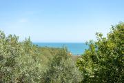 Top Silvi Marina
