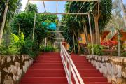 Top Yercaud