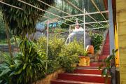 Top Yercaud
