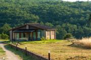 Podere "Le Rondini" in the Heart of Tuscany