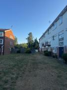 Top Harlow