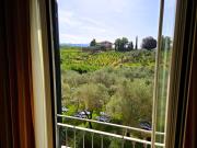 Top Sarzana