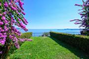 Top Maderno