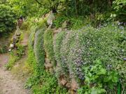 Top Lydbrook