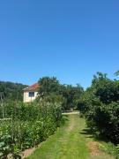 Top Andrijevica