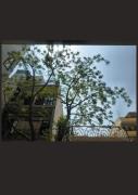 Top Gurgaon