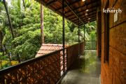 Top Alibaug