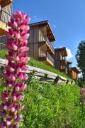 Les chalets de LAiguille Grive