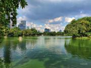 Top Khlong Toei