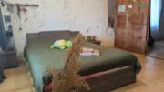 Guest house