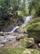 Top Ibagué