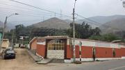Top Palle Nuevo
