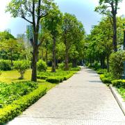 Top Hanoi
