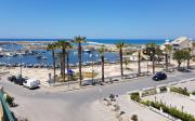Top Scoglitti