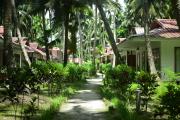 Top Havelock Island