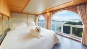 Samcheok Peacehousing Spa Pet Pension