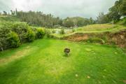 Top Ooty