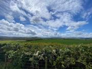 Top Llandrindod Wells