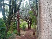 Ethlathini Rest Camp