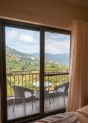 Top Solan