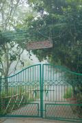 Top Padinjarathara