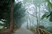 Top Padinjarathara