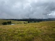 Top Dullstroom